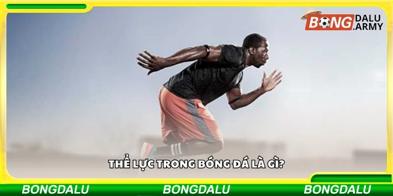 Tìm hiểu sơ lược về thể lực trong bóng đá