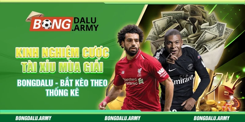 Kinh nghiệm cược tài xỉu mùa giải bongdalu - Bắt kèo theo thống kê