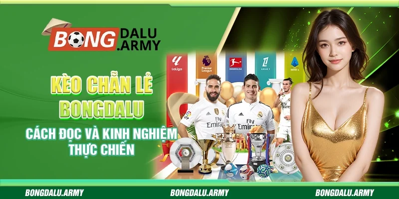Kèo Chẵn Lẻ Bongdalu - Cách Đọc Và Kinh Nghiệm Thực Chiến