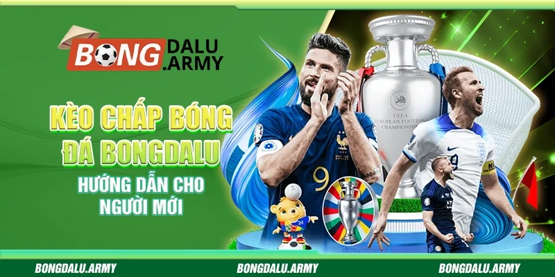 Kèo chấp bóng đá Bongdalu - Hướng dẫn cho người mới