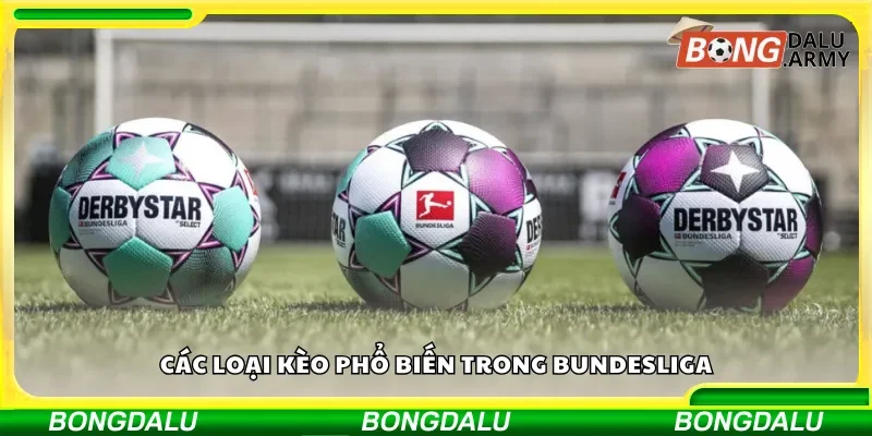Các kèo được chơi nhiều trong Bundesliga