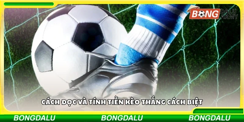 Cách đọc và tính tiền kèo thắng cách biệt