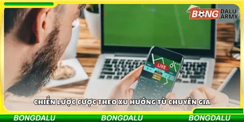 Chiến lược cược theo xu hướng từ chuyên gia