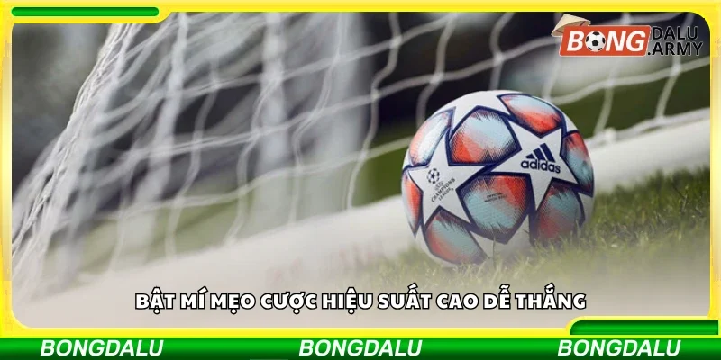 Mẹo cược hiệu suất cao dễ thắng