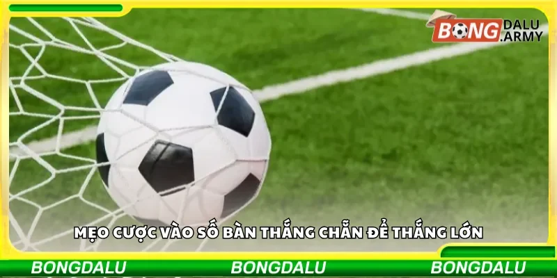 Mẹo cược vào số bàn thắng chẵn để thắng lớn