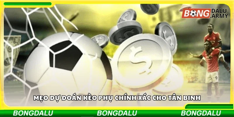 Mẹo dự đoán kèo phụ chính xác cho tân binh