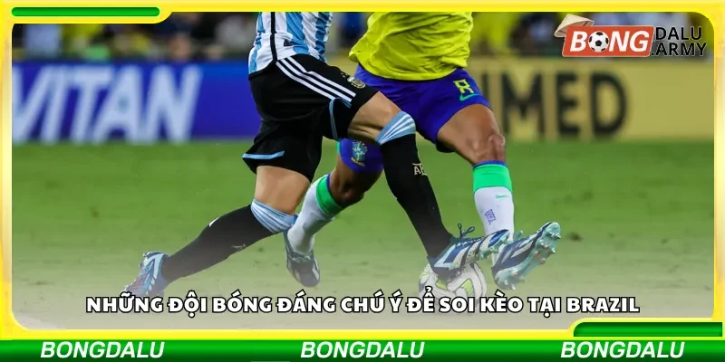 Các câu lạc bộ nổi bật cần chú ý khi soi kèo bóng đá Brazil