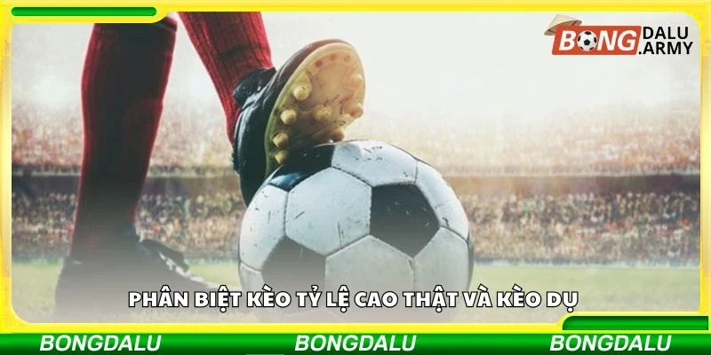 Phân biệt kèo tỷ lệ cao thật và kèo dụ 