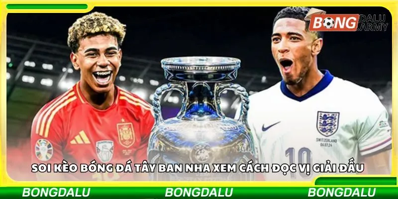 Soi kèo bóng đá Tây Ban Nha xem cách đọc vị giải đấu