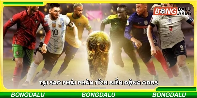 Tại sao phải phân tích biến động odds