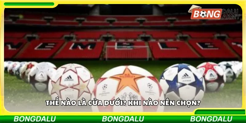 Thế nào là cửa dưới? Khi nào nên chọn?