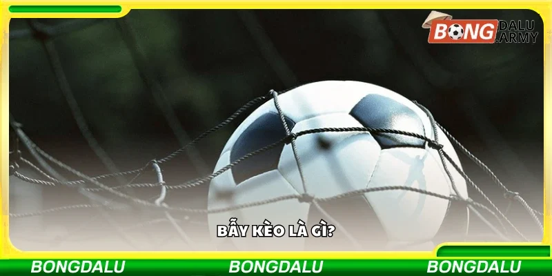 Thông tin cơ bản về bẫy kèo