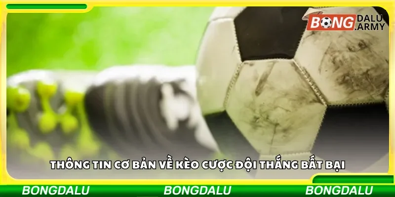 Thông tin cơ bản về kèo cược đội thắng bất bại