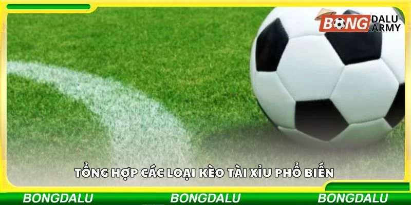 Tổng hợp các loại kèo tài xỉu phổ biến