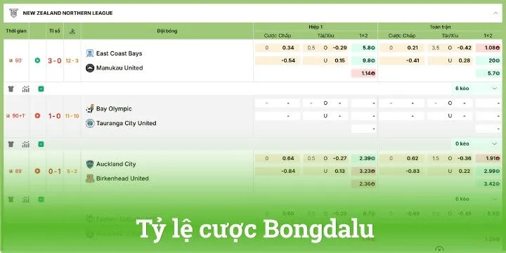 Tỷ lệ cược xanh chín cùng nhận định chuyên sâu khi soi kèo